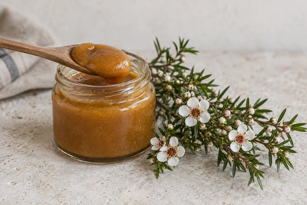 Tarro de miel de manuka cremosa con cuchara junto a una rama de manuka en flor