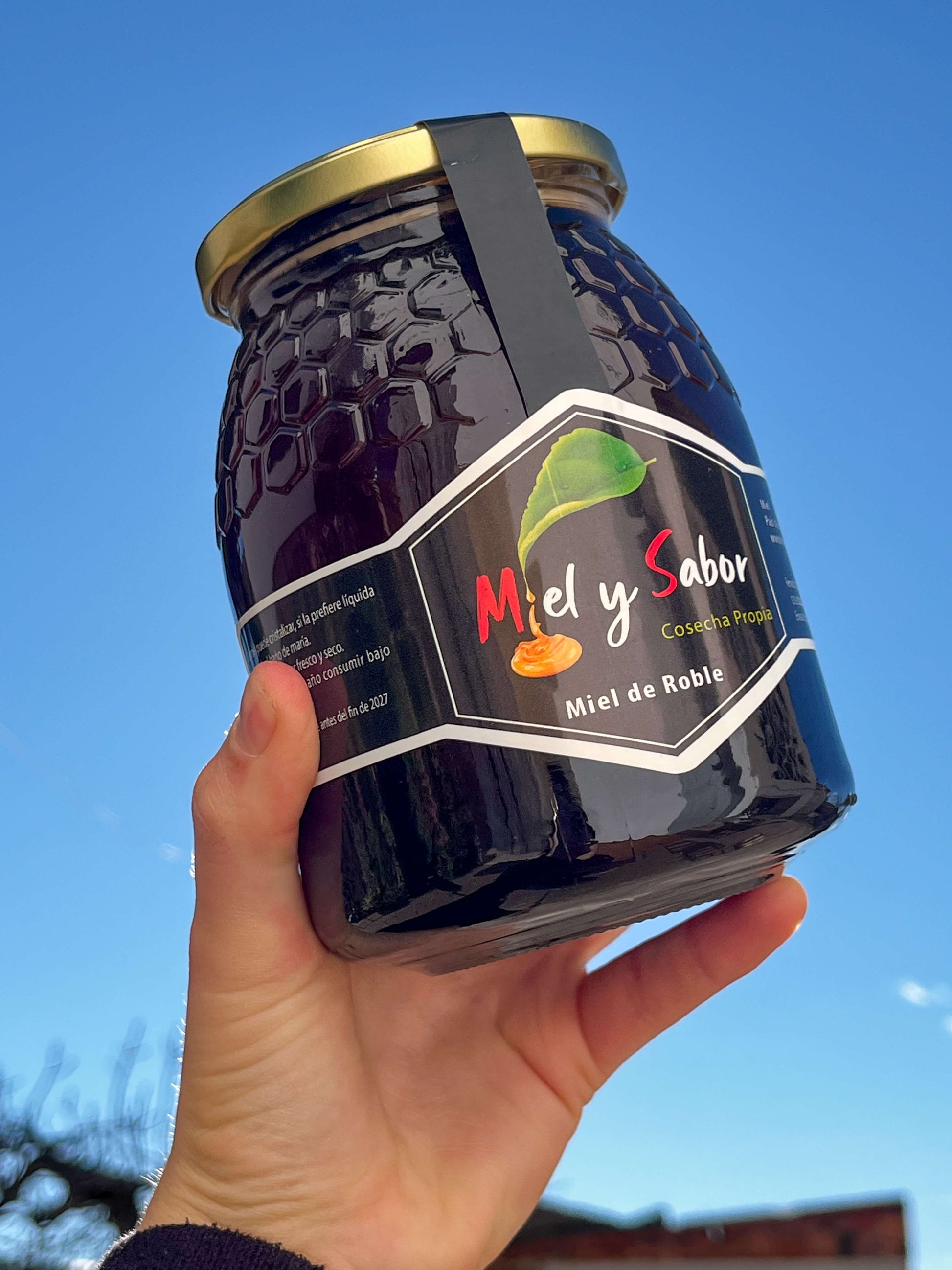 Tarro de miel de roble Miel y Sabor fotografiado al aire libre